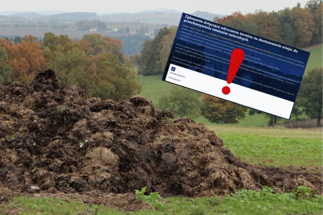 W jakiej odległości od budynków mieszkalnych można wylewać gnojowicę, aby uniknąć problemów?