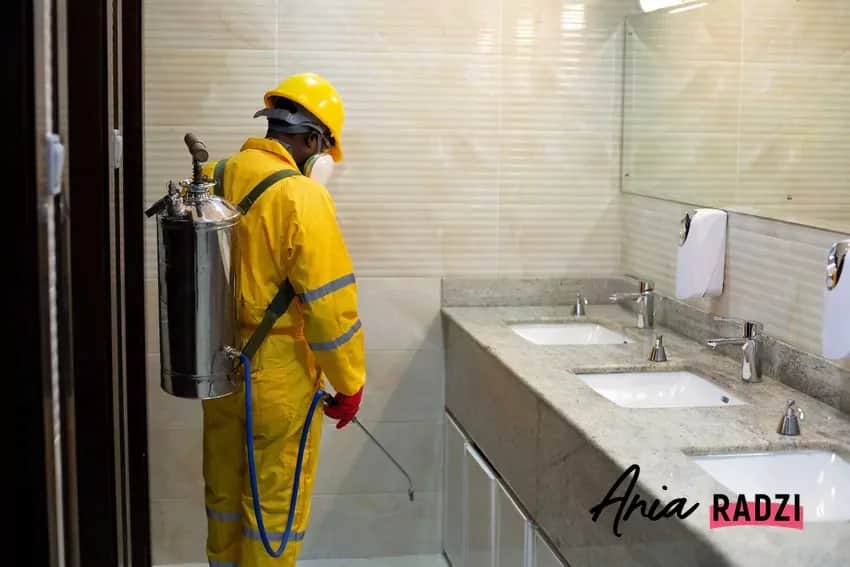 Jak wygląda dezynsekcja w bloku? Skuteczne metody i porady dla mieszkańców